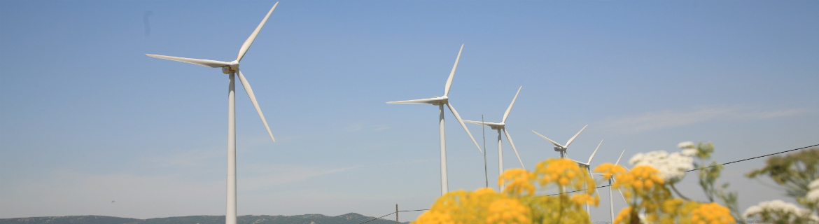 Molinos de viento que generan electricidad