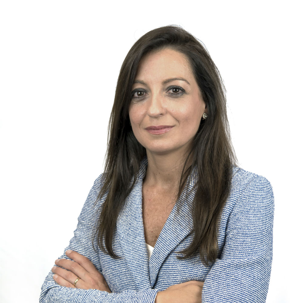 Nuestro Equipo edistribución