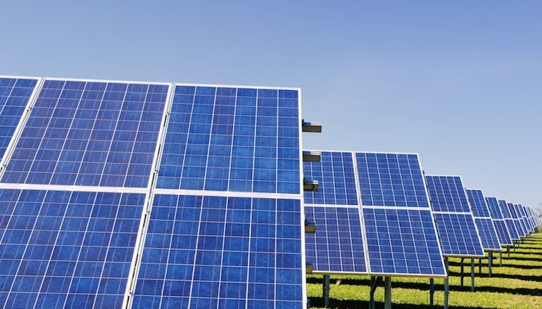 Multitud de paneles solares que reciben la luz