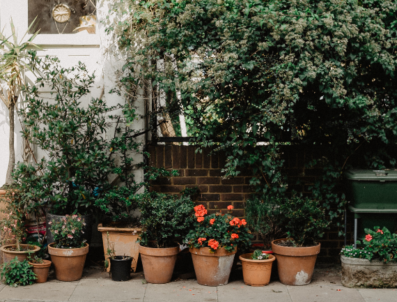 Proyecto Patios de Zaragoza